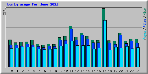 Hourly usage for June 2021